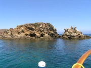 Missys Catalina 2005 00272.jpg: 2005/07/25 Heinekin's Catalina Pics - 2005